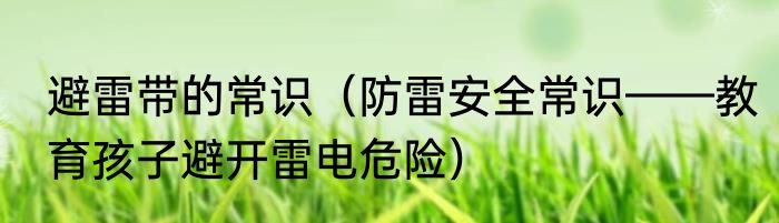 避雷带的常识（防雷安全常识——教育孩子避开雷电危险）