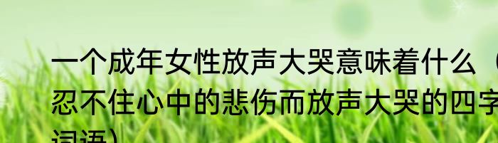 一个成年女性放声大哭意味着什么（忍不住心中的悲伤而放声大哭的四字词语）