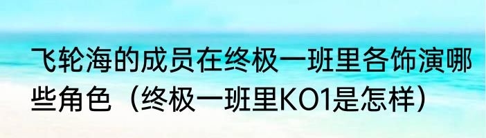 飞轮海的成员在终极一班里各饰演哪些角色（终极一班里KO1是怎样）