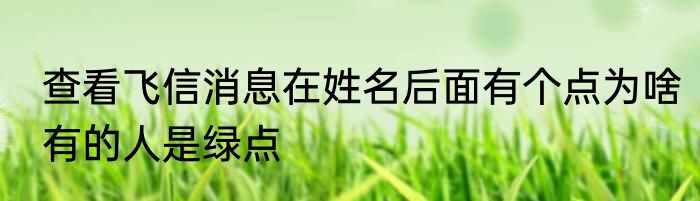 查看飞信消息在姓名后面有个点为啥有的人是绿点