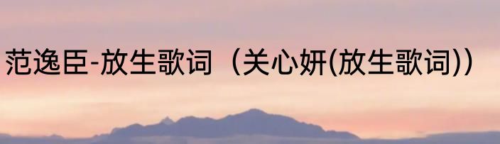 范逸臣-放生歌词（关心妍(放生歌词)）