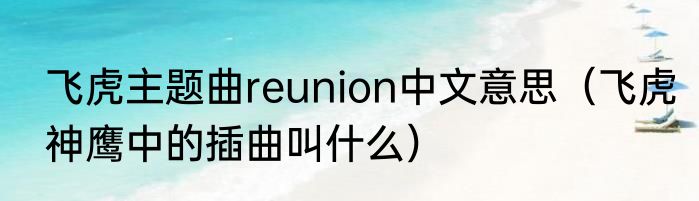 飞虎主题曲reunion中文意思（飞虎神鹰中的插曲叫什么）