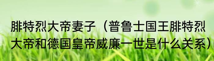 腓特烈大帝妻子（普鲁士国王腓特烈大帝和德国皇帝威廉一世是什么关系）