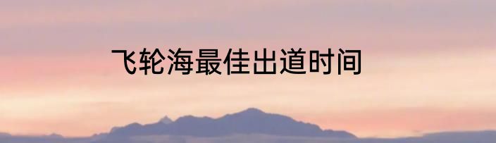 飞轮海最佳出道时间