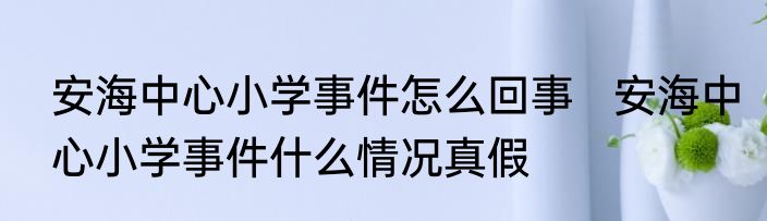 安海中心小学事件怎么回事   安海中心小学事件什么情况真假