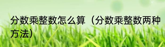 分数乘整数怎么算（分数乘整数两种方法）