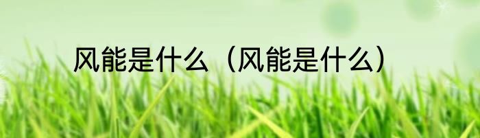 风能是什么（风能是什么）