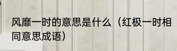 风靡一时的意思是什么（红极一时相同意思成语）