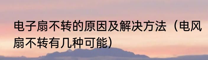 电子扇不转的原因及解决方法（电风扇不转有几种可能）