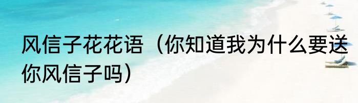 风信子花花语（你知道我为什么要送你风信子吗）