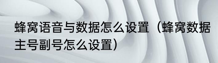 蜂窝语音与数据怎么设置（蜂窝数据主号副号怎么设置）
