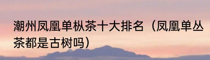 潮州凤凰单枞茶十大排名（凤凰单丛茶都是古树吗）
