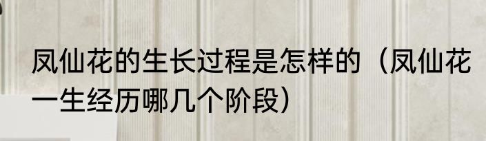 凤仙花的生长过程是怎样的（凤仙花一生经历哪几个阶段）