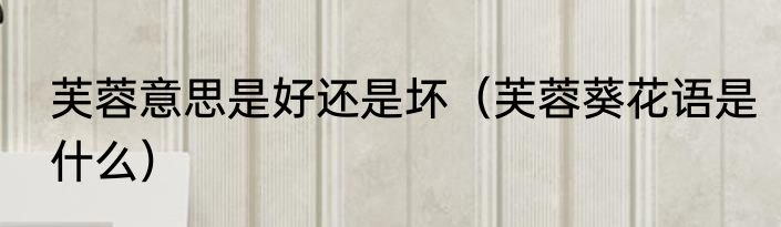 芙蓉意思是好还是坏（芙蓉葵花语是什么）