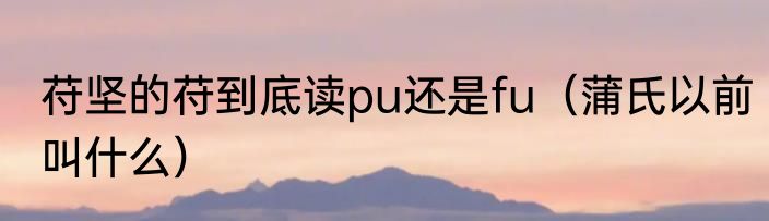 苻坚的苻到底读pu还是fu（蒲氏以前叫什么）
