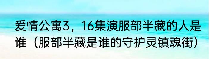 爱情公寓3，16集演服部半藏的人是谁（服部半藏是谁的守护灵镇魂街）