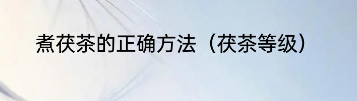 煮茯茶的正确方法（茯茶等级）
