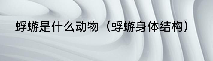 蜉蝣是什么动物（蜉蝣身体结构）
