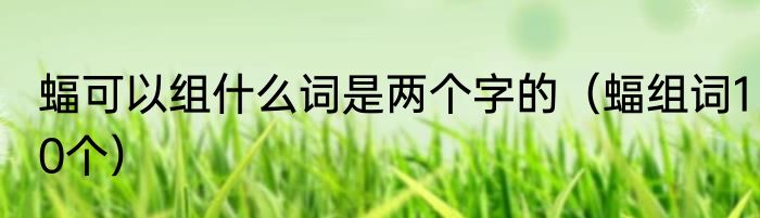 蝠可以组什么词是两个字的（蝠组词10个）