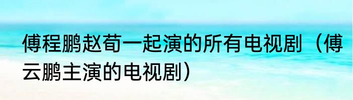 傅程鹏赵荀一起演的所有电视剧（傅云鹏主演的电视剧）
