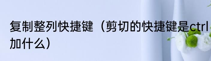 复制整列快捷键（剪切的快捷键是ctrl加什么）