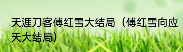 天涯刀客傅红雪大结局（傅红雪向应天大结局）
