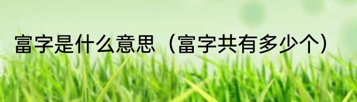 富字是什么意思（富字共有多少个）