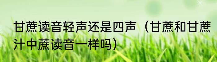 甘蔗读音轻声还是四声（甘蔗和甘蔗汁中蔗读音一样吗）