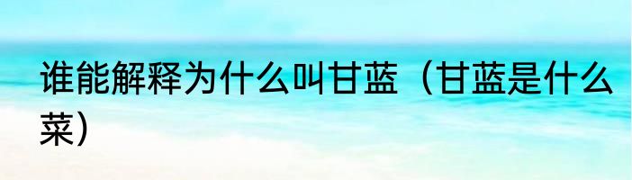 谁能解释为什么叫甘蓝（甘蓝是什么菜）