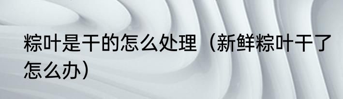 粽叶是干的怎么处理（新鲜粽叶干了怎么办）