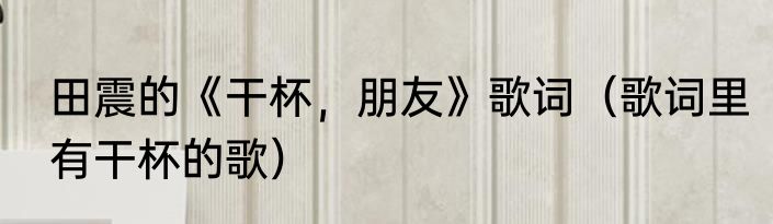 田震的《干杯，朋友》歌词（歌词里有干杯的歌）