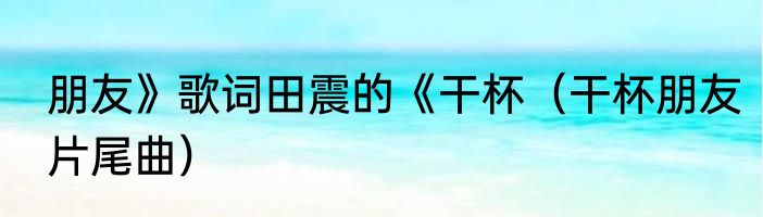朋友》歌词田震的《干杯（干杯朋友片尾曲）