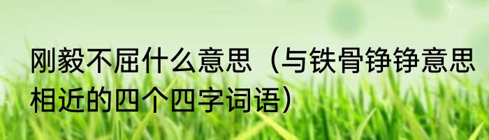 刚毅不屈什么意思（与铁骨铮铮意思相近的四个四字词语）