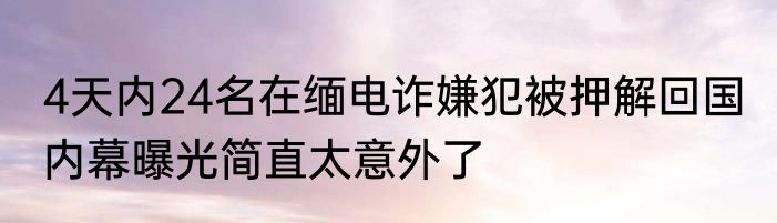 4天内24名在缅电诈嫌犯被押解回国 内幕曝光简直太意外了