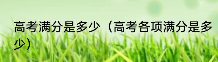 高考满分是多少（高考各项满分是多少）