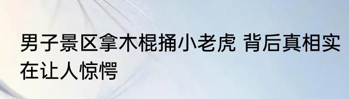 男子景区拿木棍捅小老虎 背后真相实在让人惊愕