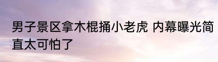 男子景区拿木棍捅小老虎 内幕曝光简直太可怕了