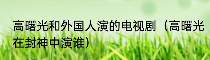 高曙光和外国人演的电视剧（高曙光在封神中演谁）