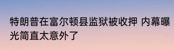 特朗普在富尔顿县监狱被收押 内幕曝光简直太意外了