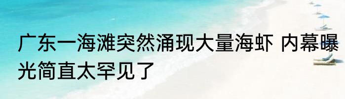 广东一海滩突然涌现大量海虾 内幕曝光简直太罕见了