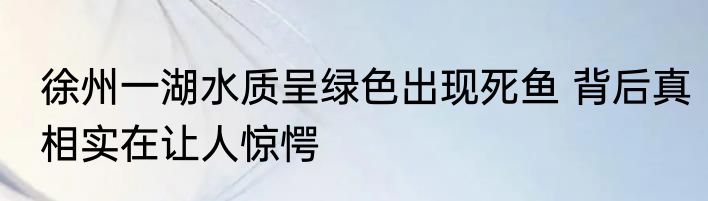 徐州一湖水质呈绿色出现死鱼 背后真相实在让人惊愕