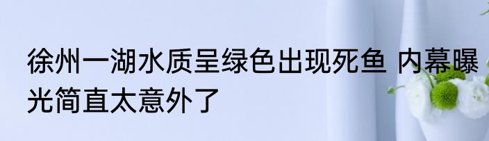 徐州一湖水质呈绿色出现死鱼 内幕曝光简直太意外了