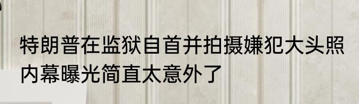 特朗普在监狱自首并拍摄嫌犯大头照 内幕曝光简直太意外了