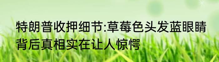 特朗普收押细节:草莓色头发蓝眼睛 背后真相实在让人惊愕