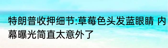 特朗普收押细节:草莓色头发蓝眼睛 内幕曝光简直太意外了
