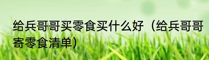 给兵哥哥买零食买什么好（给兵哥哥寄零食清单）