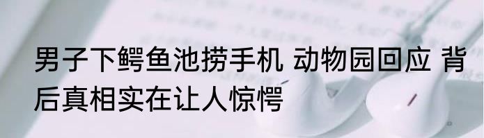 男子下鳄鱼池捞手机 动物园回应 背后真相实在让人惊愕