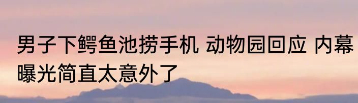 男子下鳄鱼池捞手机 动物园回应 内幕曝光简直太意外了
