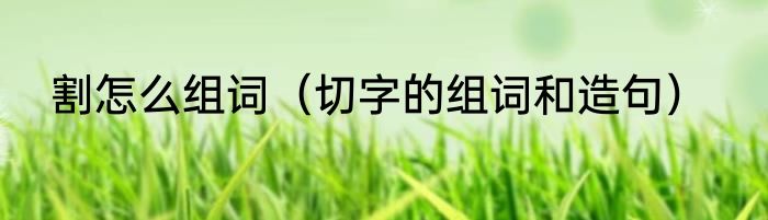 割怎么组词（切字的组词和造句）