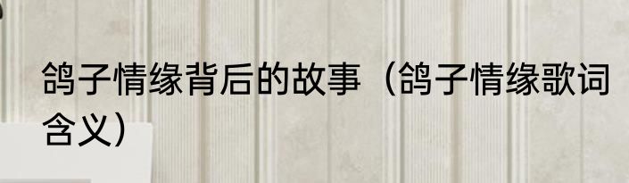 鸽子情缘背后的故事（鸽子情缘歌词含义）